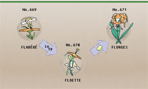 florges evolution level
